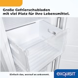 thumbnail of Exquisit Gefrierschrank, Tiefkühlschrank, 194 L, 4-Sterne-Gefrieren, Schnellgefrieren, Alarm-Funktion, Gefrierschrank NoFrost, GS4271-NF-H-010E weiss