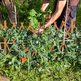 thumbnail of Relaxdays Rankgitter Holz, ausziehbar bis 275 cm, Rankhilfe Kletterpflanzen, Scherengitter freistehend, Garten, grau