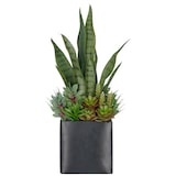 thumbnail of CREATIV green künstliche Pflanze Sukkulentenarrangement im schwarzen Metalltopf mit Kies, 55cm, grün