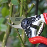 thumbnail of SIENA GARDEN 6-KS Premium Premium Alu-Bypassschere