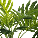thumbnail of Atmosphera Etnik - Palme mit weißem Zementpflanzgefäß 30x30x29cm