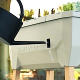 thumbnail of Gusta Garden Sammy Salad Drinnen/Draußen Topfpflanzer Freistehend Polypropylen (PP), Holz Hellgrau, Durchscheinend, Transparent