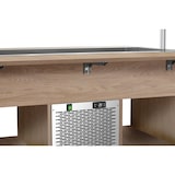 thumbnail of Gekoelde buffetwagen KIDS | 4x 1/1 GN | Statisch | LED verlichting | 230V | 1420x1150x1150(h)mm