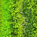 thumbnail of Vacchetti Pannello verde cm100x100