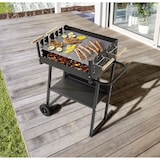 thumbnail of Tarrington House Brigida houtskoolbarbecue, 41 x 58.5 cm, 2 in hoogte verstelbare grillroosters, verrijdbaar, staal, zwart