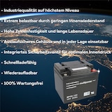 thumbnail of Akku-Satz Batterie für Scooter Elektromobil Dietz Agin, 2 x 12V 50Ah Blei AGM Multipower