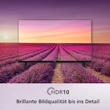 thumbnail of JVC Fernseher 40 Zoll Fire TV Full HD Smart TV HDR Fernseher Alexa Triple-Tuner LED TV LT-40VRF3555