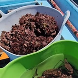 thumbnail of Confezione da 10 secchi in plastica per alimenti con manico rinforzato (bianco, 42l) - Senza BPA. Ristoranti, celle frigorifere, vintage