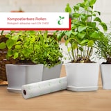 thumbnail of Solis kompostierbare Vakuumierfolie für Vakuumierer, 2 Rollen, 160µm 600x30cm