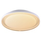 thumbnail of Plafón LED 40W Regulable Delbo