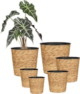 thumbnail of Scheurich Water hyacinth 24, Korbgefäß/Korb-Pflanzgefäß/Korbtopf aus Water hyacinth Farbe: Nature, 24 cm Durchmesser, 24 cm hoch, 13 l Vol.