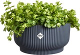thumbnail of elho Vibes Fold Übertopf Ø 14 cm Anthrazit Blumentopf Design-Pflanztopf modern