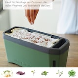 thumbnail of Gusta Garden Stadtkräutergarten-Set 6-teilig, dunkelgrün