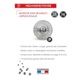 thumbnail of Peugeot Nancy Salzmühle Transparent