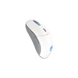 thumbnail of Raton Endorfy Gem Plus Onyx White Ambidextro Rf Wireless + Usb Type-C Ãptico 26000 Dpi