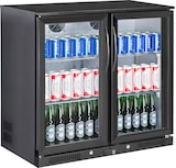 thumbnail of Skyrainbow Flaschenkühler, Inhalt 200 Liter, 2 Flügeltüren
