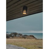 thumbnail of Plafonnier luminaire ALUDRA  Aluminium Seaside noir H. 18,8 IP54 -Extérieur