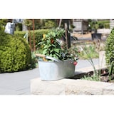 thumbnail of Jinfa | Metallwanne verzinkt | Zink | Höhe: 16,3 cm, Oben: 41,8 x 21,2 cm | 1 verzinkte Metallwanne mit 2 Metallhenkeln und Holzgriffen | Pflanztopf,