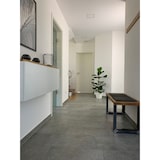 thumbnail of Geigenfeige – Moderner Dschungel-Look für Innenräume, ca. 95 cm hoch, Topf-Ø 21 cm