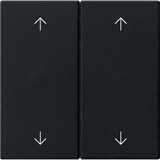 thumbnail of Gira Wippe 2-fach 5387005