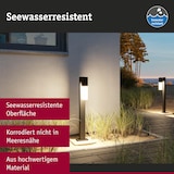 thumbnail of Paulmann Borne lumineuse Tralia IP44  650mm  max. 10W  230V  Anthracite E27 Aluminium 94788