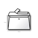 thumbnail of Pollen 200x Pollen, Umschlag C6, 120g - Minze 5546C