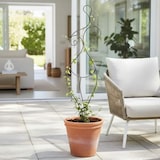 thumbnail of DanDiBo Rankhilfe Kletterhilfe Metall Schwarz 140 cm Bodenstecker Frau Lora Gartenstecker Rankgitter Kletterpflanzen Blumenhalter Ranksäule