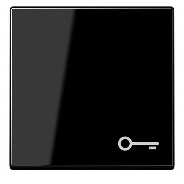 Jung Wippe Symbol Tür A 590 BF T SW A590BFTSW
