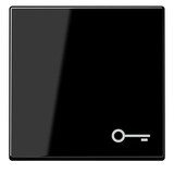 thumbnail of Jung Wippe Symbol Tür A 590 BF T SW A590BFTSW
