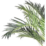 thumbnail of NATURN LIVING Sagopalme aus Kunststoff - ø 60 x 142,5 cm - Wartungsfreie Cycas Revoluta - Kunstpflanze - Grün