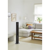 thumbnail of Turmventilator Peter Schwarz DC mit Fernbedienung Schwarz