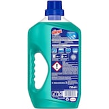 thumbnail of Der General Allzweckreiniger Bergfrühling Reinigungsmittel 750 ml Reiniger