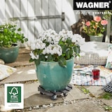 thumbnail of WAGNER Pflanzenroller WPC Ø 29 x 7,5 cm, für außen & innen, anthrazit, wetterfest, Feststeller, max 100 kg - 20052501