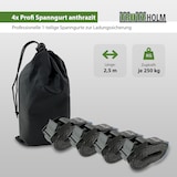 thumbnail of 4x Profi Spanngurt mit Klemmschloss 1-tlg 2,5m 250 kg Traglast Anthrazit inkl. Tasche