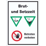 thumbnail of Brut- und Setzzeit Betreten verboten hochkant Schild A3 Rückseite selbstklebend