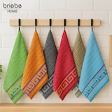 thumbnail of Briebe Geschirrtücher 100 % Baumwolle Frottee 6er Set 50x50 cm, 500 g/m² Hohe Saugfäh, PC1192-6, Mehrfarbig