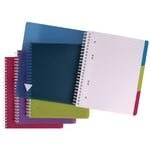thumbnail of Lot de 5 Cahier Linicolor Intensive Evolutiv'book A4+, 240p./120 feuilles détachables 90 g/m² reliure intégrale, couv. polypro assortis, quadrillé 5x5
