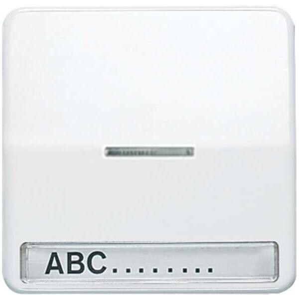 Jung Wippe Licht./Schriftf.gr CD 590 NAKO5 GR CD590NAKO5GR