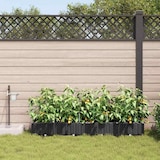 thumbnail of vidaXL Gartenpflanzer Schwarz 160 x 40 x 22 cm Stahl