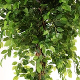thumbnail of Pianta artificiale Ficus intrecciata 180cm | Naturing Monde - Interno - Tronco naturale