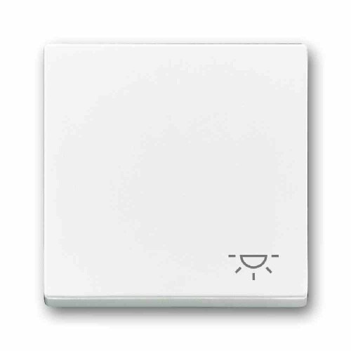 Wippe einteilig, Schalter/Taster, studioweiß, glänzend, Symbol Licht