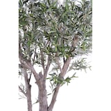 thumbnail of VERT ESPACE olivier geant 185 cm