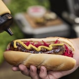 thumbnail of Grelhador a Gás Spirit® E-210