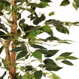 thumbnail of Albero artificiale ficus benjamina 180 cm | Naturing Monde - Interno - Tronco d'albero naturale