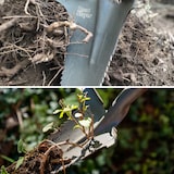 thumbnail of Radius Root Slayer Spaten, Wurzelspaten, ergonomisch, Mehrzweckschaufel, Schneidspitze, Klinge mit Zähnen zum Schneiden der Wurzeln, 113 cm, rot