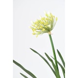 thumbnail of VERT ESPACE plante artificielle agapanthe en motte blanc 90 cm