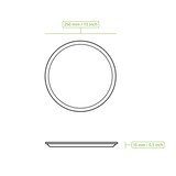 thumbnail of BIOZOYG 100 Stück Einwegteller Pizza Ø 25cm Palmblatt Teller, runde flache Bio Wegwerfteller, kompostierbare Einwegteller für Pizza, nachhaltig