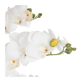 thumbnail of Plante artificielle Orchidée dans Pot en céramique blanche H 62 cm