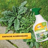 thumbnail of Solabiol Grundstoff Acetum Spray AF 1 Liter Sprühflasche