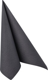 thumbnail of 5 lots de 50 Serviettes "ROYAL Collection" pliage 1/4 40 cm x 40 cm noir avec emballage en papier